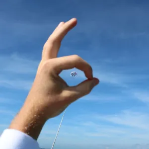 a hand holding a frisbee
