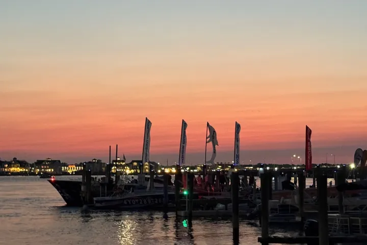 a close up of a pier next to a body of water