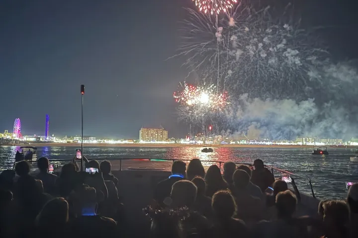 a crowd of people watching a group of fireworks in the sky